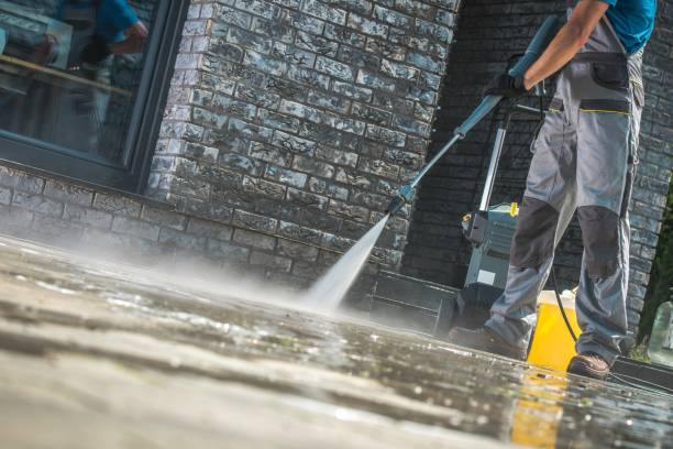 Best Fleet Vehicle Washing  in Rogersville, TN
